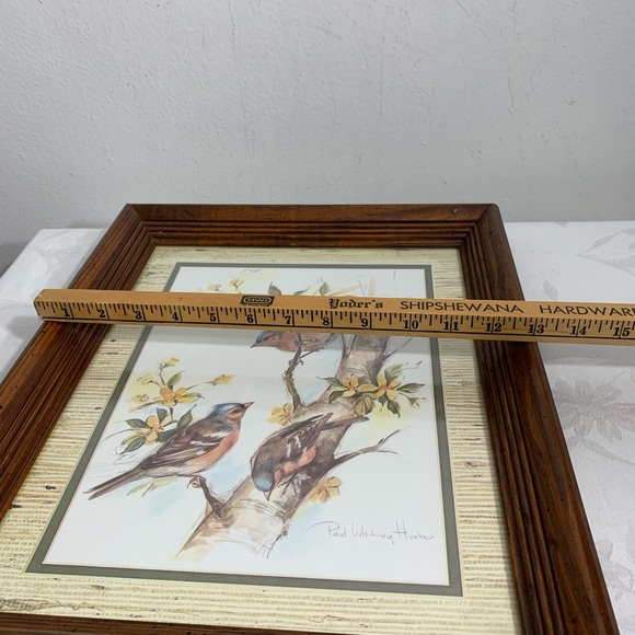 Framed birds print by Paul Whitney Hunter 16x13 - Picture 7 of 7